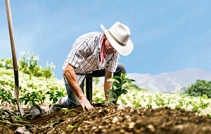 Pequeños productores: alma y nervio de Nicaragua