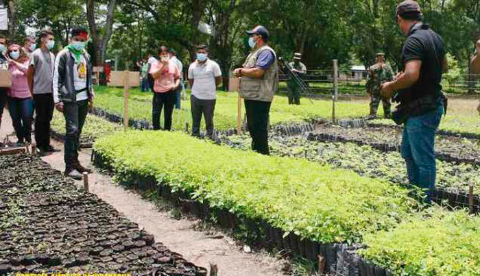 Ambientalista Guardabarranco reforestará en todo el país