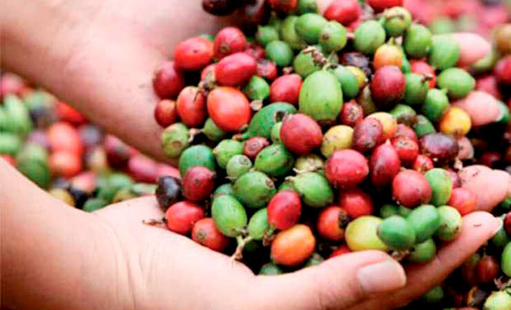 Buenas perspectivas para Ciclo Agrícola 2022