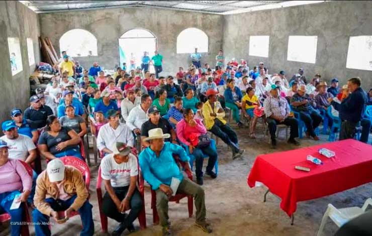 Buscan mantener productividad ganadera en época seca