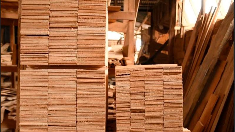 Buenos ingresos en exportación de madera