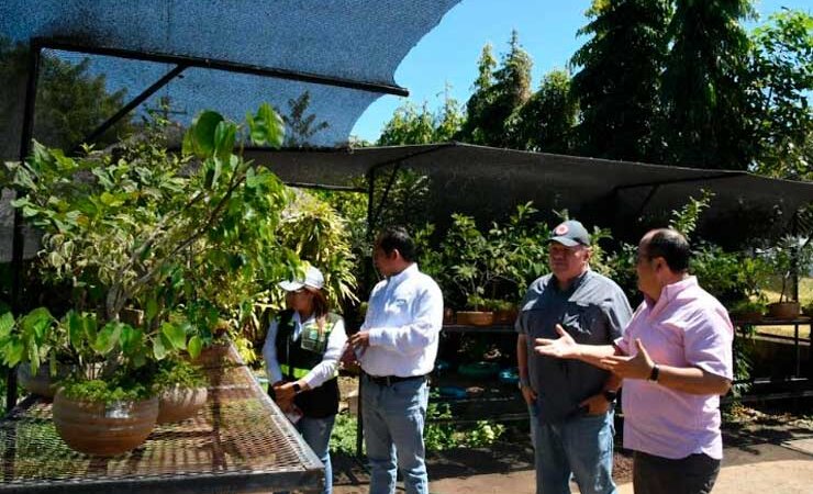 Impulsan estrategia ambiental en Rivas