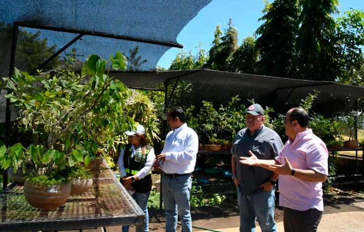 Impulsan estrategia ambiental en Rivas